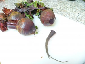 It's like a rat tail.. kinda creepy, cuz the beet even sort of 'bleeds'