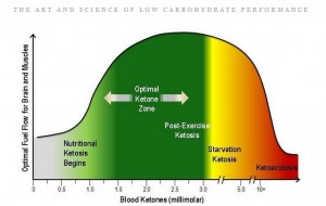 From Phinney and Volek's book - a good way to keep track of where your blood ketone levels should be