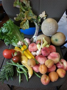Abundant Harvest Organics Review