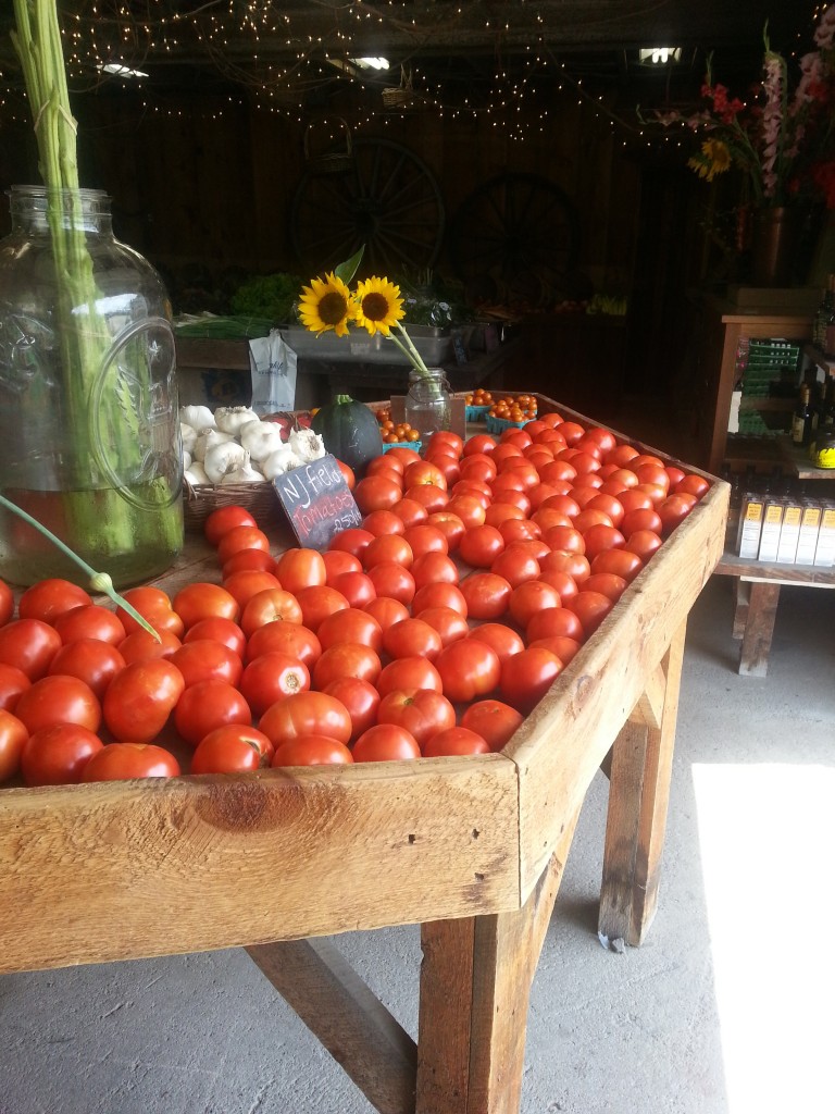 A lovely row of tomatoes