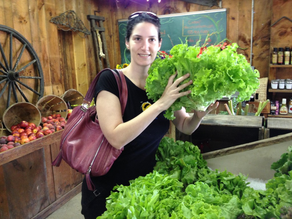 Giant head of lettuce