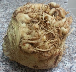 Celeriac AKA One Ugly Dude