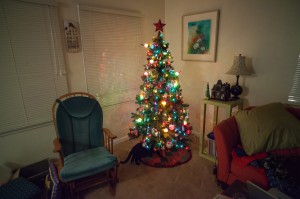 Here is a picture of my pretty Christmas tree! Photo by Jason Hullinger