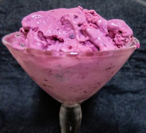 low carb ice cream