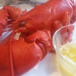 Lobster and butter