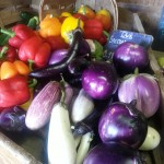 Gorgeous eggplants and peppers