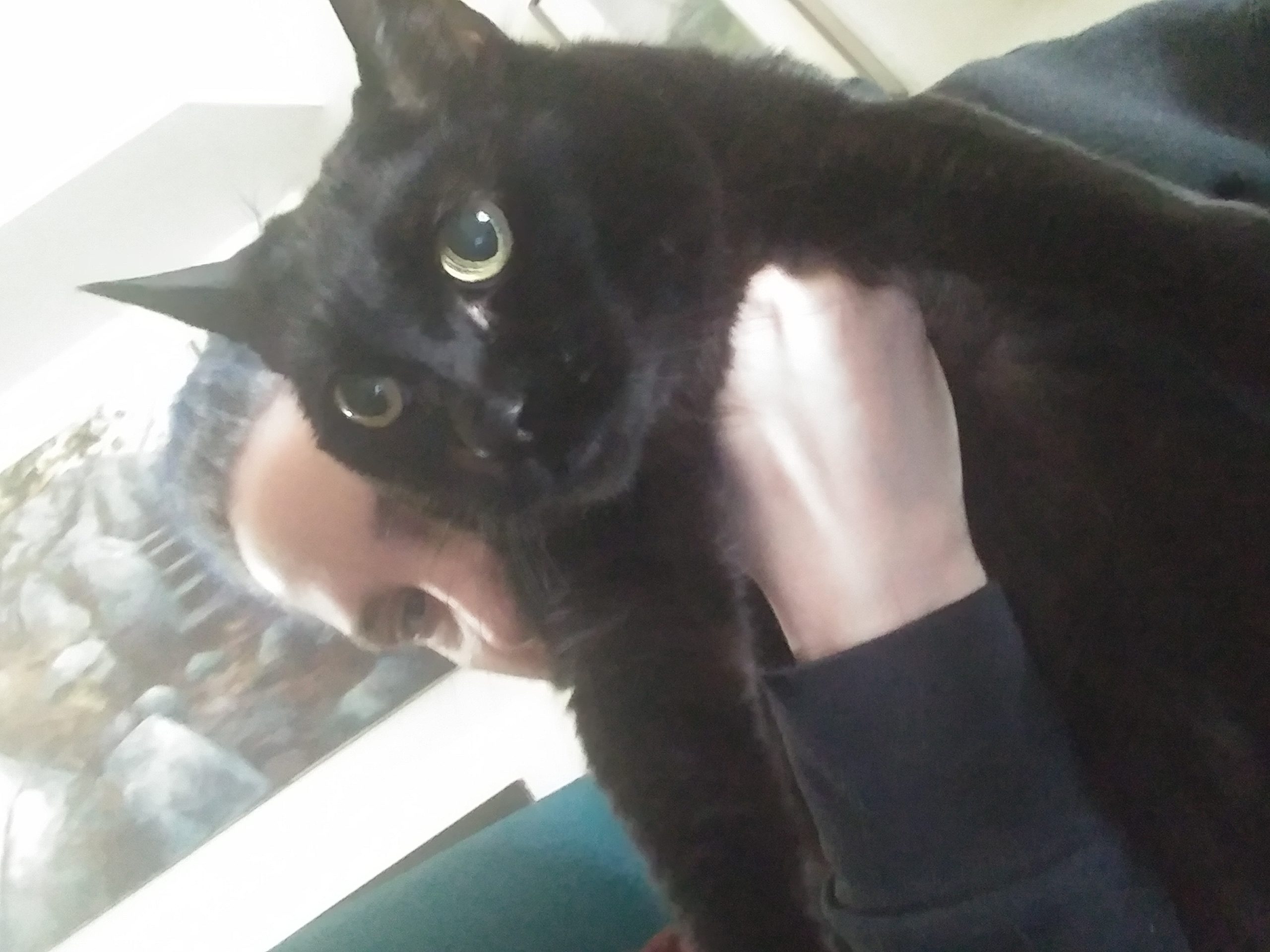 Lakanto Pancake and Waffle mix Review